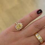 The Lowell Ring, North to South