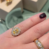 The Lowell Ring, North to South